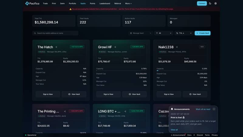 Pacifica official About Us documentation page showing its launch and product vision